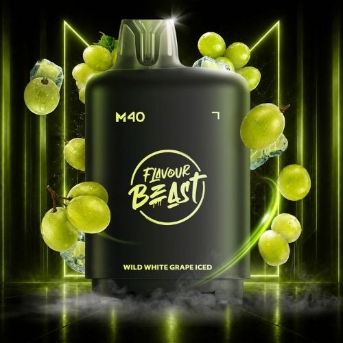 Level X Flavour Beast M40 [ Fruits Series ] 160k Disposable Pods - 160000 Puffs - 40ml