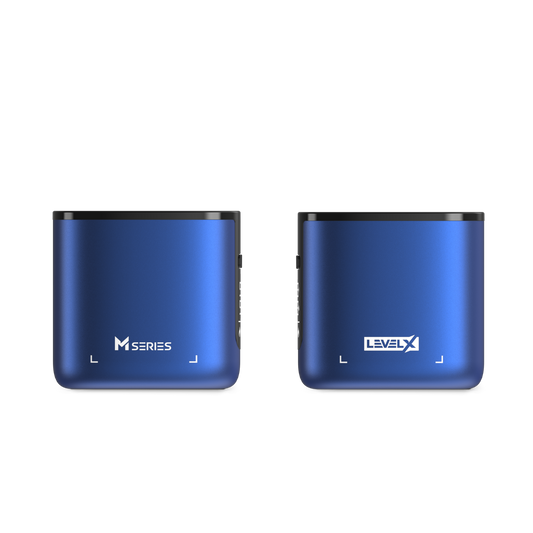 Flavour Beast Level X Battery